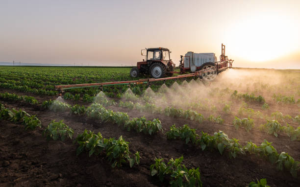 Best Commercial Pest Control Services  in Manchester, TN