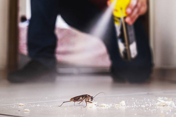 Manchester, TN Pest Control Pros