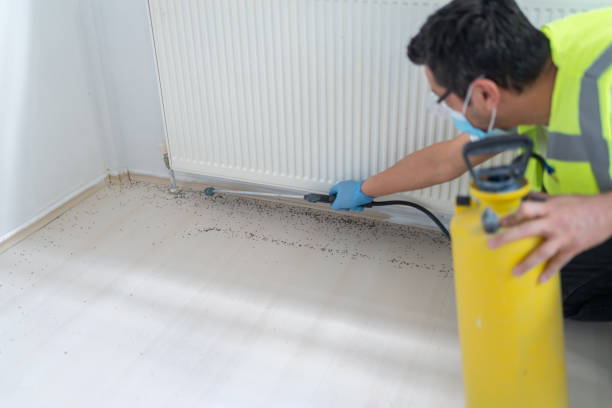 Best Ant Control Services  in Manchester, TN